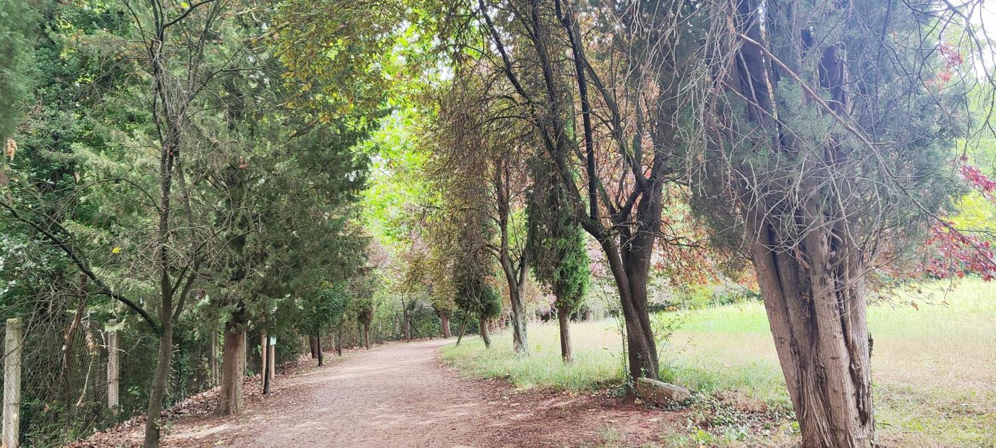 Piso Rural Sol Bergueda Apartman Aviá Kültér fotó